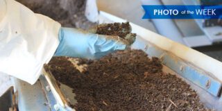 Photo of the Week: Raw Manure Lab Test