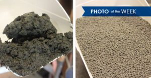Raw vs. Granulated Cattle Manure