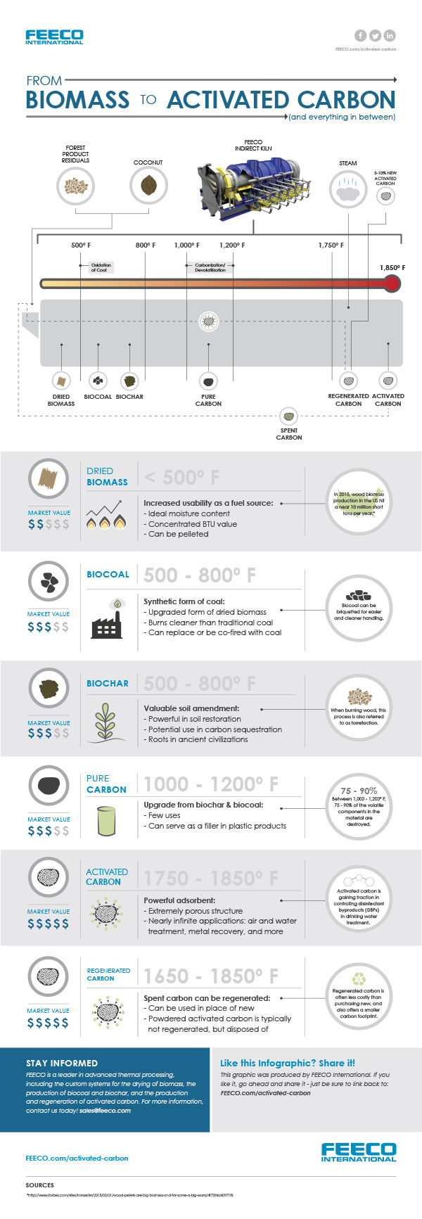 Biomass to Activated Carbon Infographic