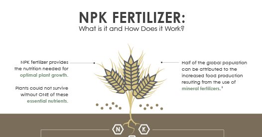 NPK Fertilizer (Fertiliser) Infographic