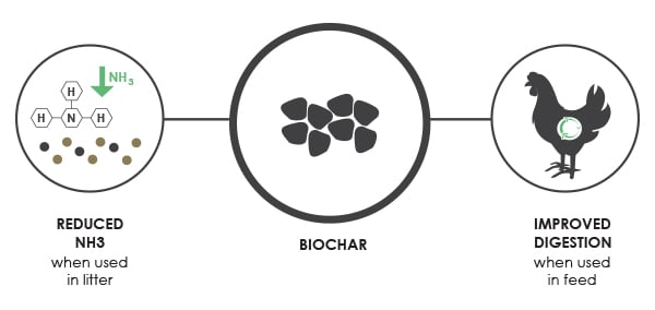 Biochar in Poultry Production