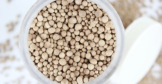 Gypsum pellets produced with the help of a pin mixer