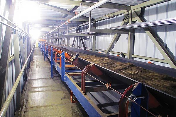 Troughed Belt Conveyors for Wood Chips