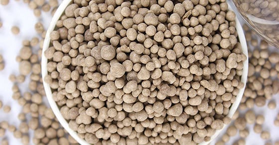 Improving Feedstock Uniformity to Optimize Bulk Solids Processing