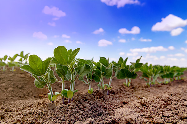 USDA Making Progress on Domestic Fertilizer Production