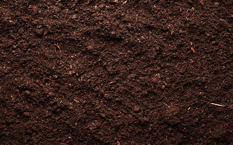 From Coffee to Plastic