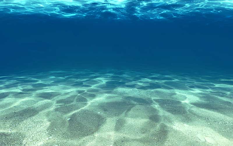 President Trump Pushes for Deep Sea Mining