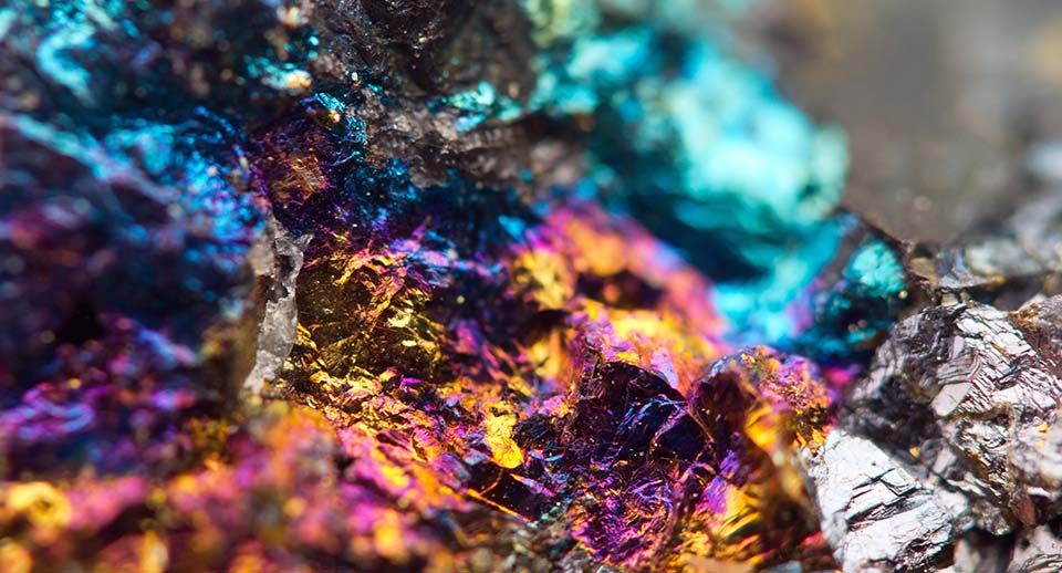 Rare Earth Elements (REE) Processing Equipment